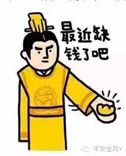 金凤警方破获盗窃案,金凤网络传销案