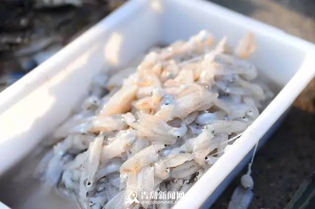 青岛海鲜一锅蒸,青岛必吃的海鲜做法