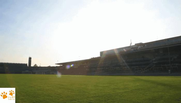 布拉格广场有多厉害,布拉格广场有奇迹