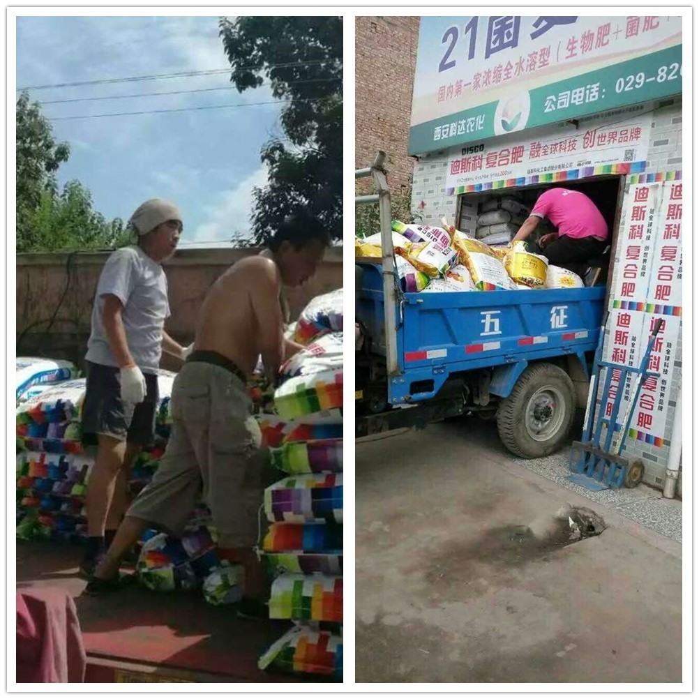 迪斯科风靡全国,爆款迪斯科