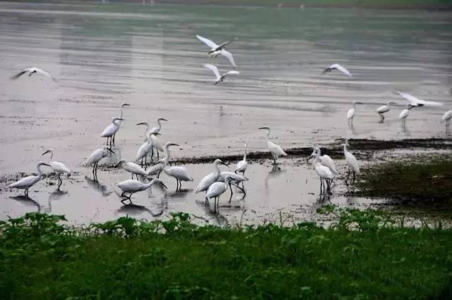 淮南水世界水上乐园,淮南冲浪水上乐园