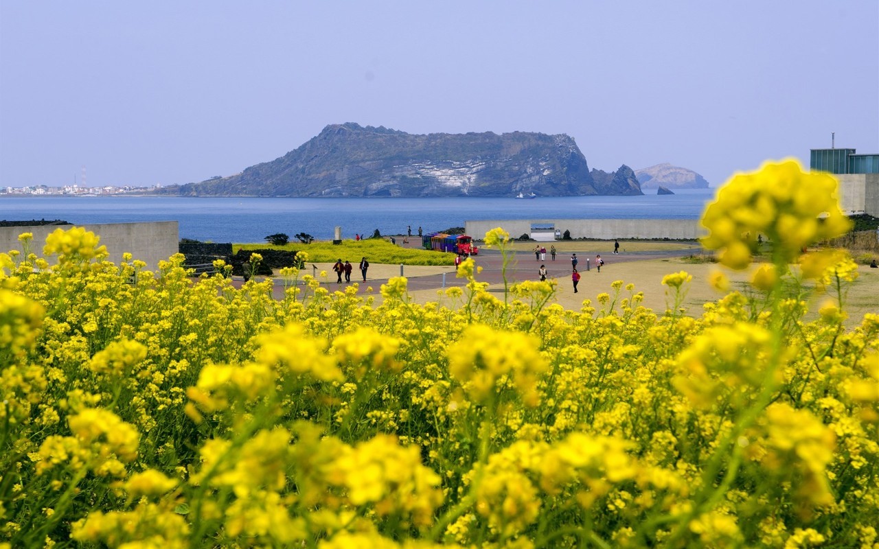 旅行济州岛,济州岛旅游自由行推荐