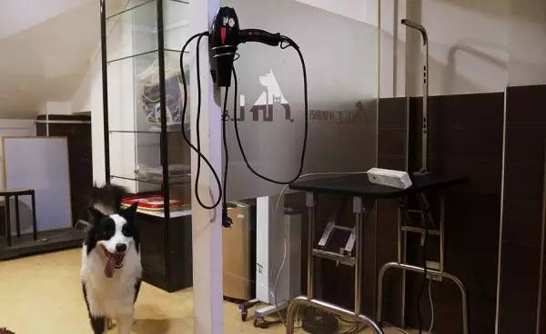 喂！住一晚160块，看次病成千上万！武汉这些狗活得太好了吧！