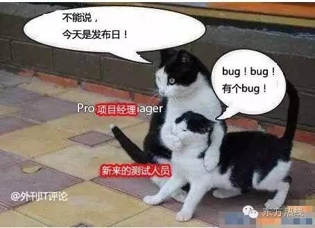 宁波哪些职业最赚钱,宁波最吃香的十大职业