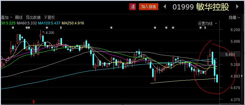 敏华控股股价为何下跌严重,港股敏华控股01999表现怎么样