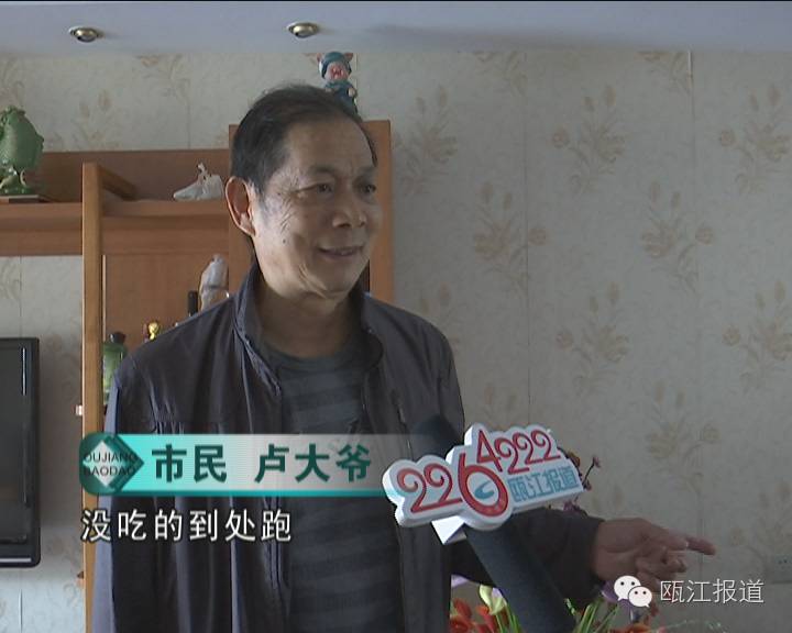 十大最有效的灭蟑方法不用蟑螂药,如何免费的灭蟑螂