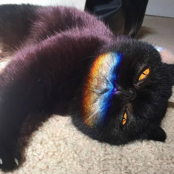 榛戝柕杩囩▼閲嶈杩樻槸缁撴灉閲嶈,榛戝柕浠ュ悗杩橀渶涓嶉渶瑕侀伩瀚屼簡