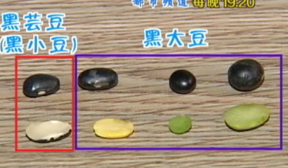 黑豆绿心和黄心哪个比较好,绿心黑小豆和绿心大黑豆的区别