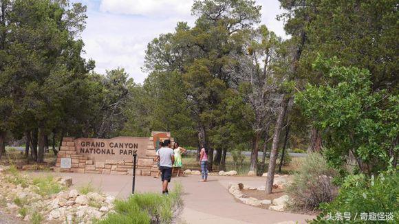 在美国旅游视频教学,美国自由行自驾游