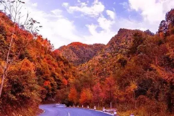 来黎坪看漫天红叶倾尽一城秋色,黎坪红叶照片