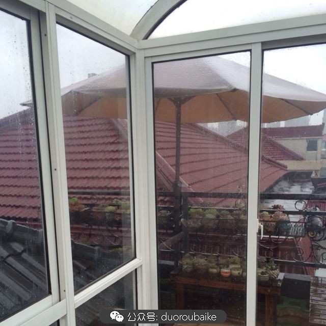 台风来了多肉已搬到安全的地方,台风来了多肉植物搬不动