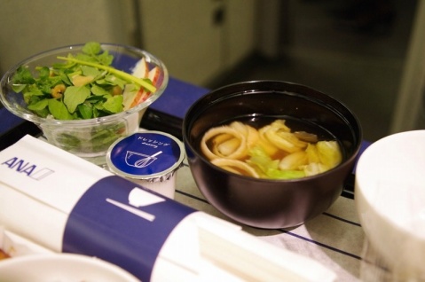 去日本自由行机票什么时候买最好 (如何购买日本自由行机票)