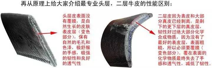 怎么辨别皮革的真假,认识人造革与真皮