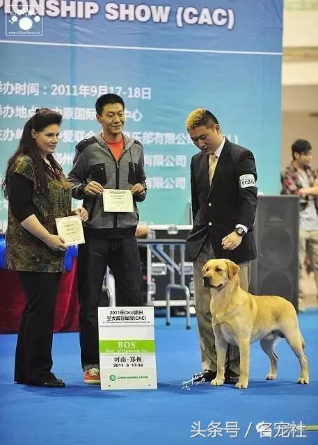 优基10kg中型犬粮,优基小型犬全价幼犬粮