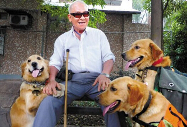 自从家里养了猫老鼠就全跑了,自从养了猫家里老鼠越来越多