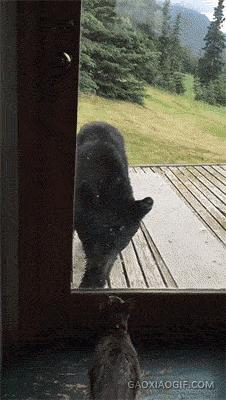 萝卜段子：妹子们要生气了哦