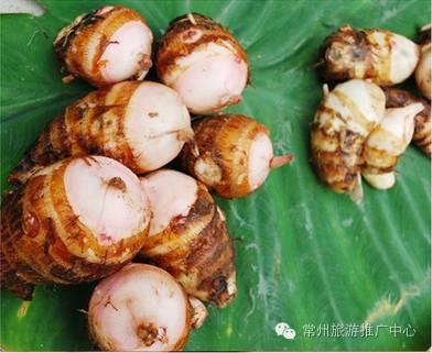 江苏常州十大特产送人,作为一个合格的吃货