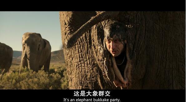 这绝对是史上最污的电影,没有之一。。。