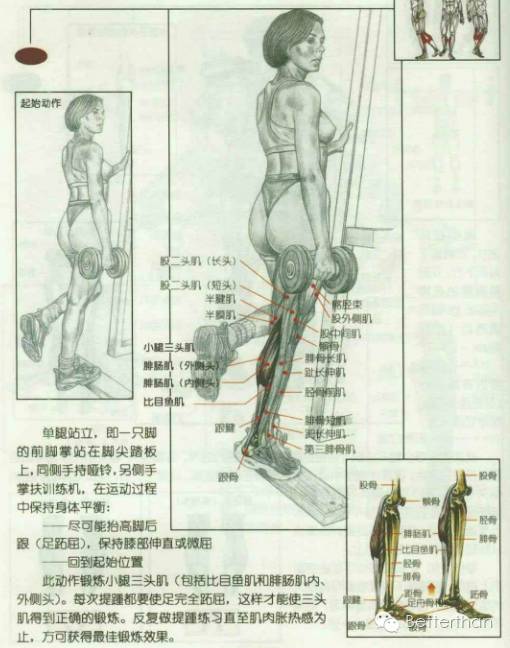 最全哑铃教学,手臂哑铃肌肉训练10个动作图解