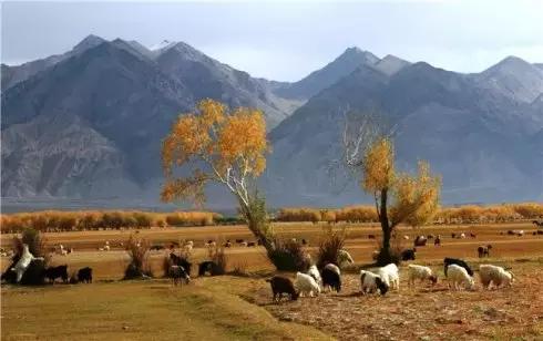 广西最美的风景推荐,大美广西十大最美景点