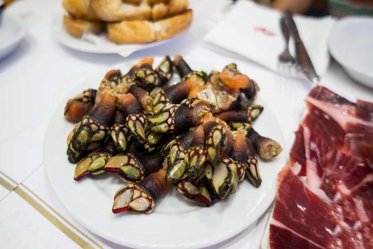 斑马旅游马尔代夫,斑马旅游景点在哪里