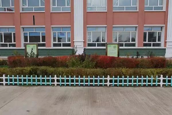 双鸭山市宝清县青原镇——金秋校园别样美