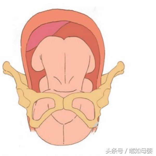 女人生育成功率高吗,女性生育能力取决于什么