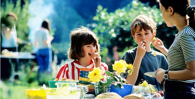 九蜂堂,九蜂堂蜂蜜