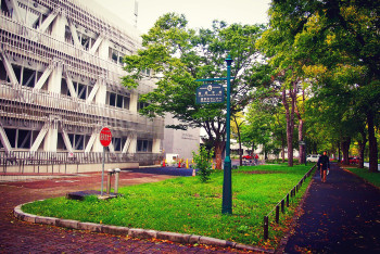 初秋日本快步东京，慢行北海道，泡汤美食8日