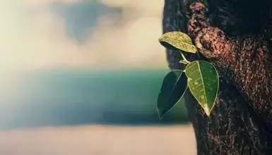 做一个勇敢的孕妈妈,做一个精致孕妈妈