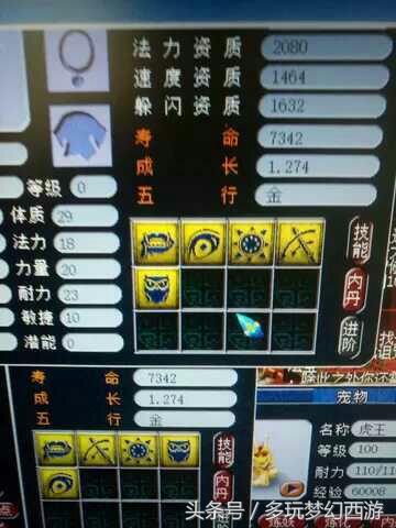 梦幻西游资质最好的多技能童子,梦幻西游五技能变异童子好洗吗