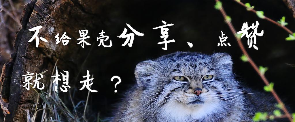 口误是多么可怕的事情,因为口误而闹出的惨痛经历