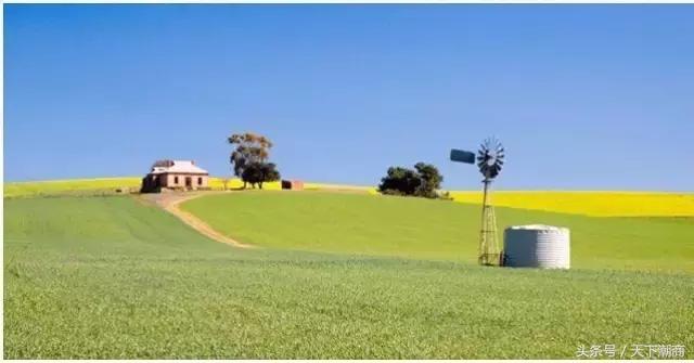 澳大利亚华人陈焕明,潮商陈焕明