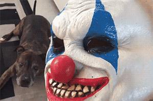 鑰佹箍瑙ｈ灏戞灄瓒崇悆,鑰佹箍瀹炲喌瓒崇悆鎼炵瑧瑙嗛