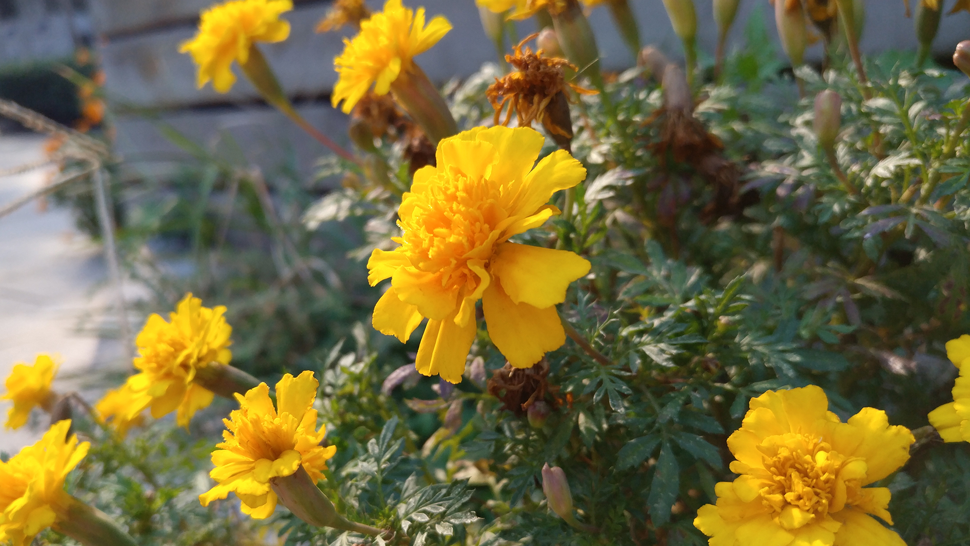 性能卓越续航出色，乐Pro3全面体验测评分享