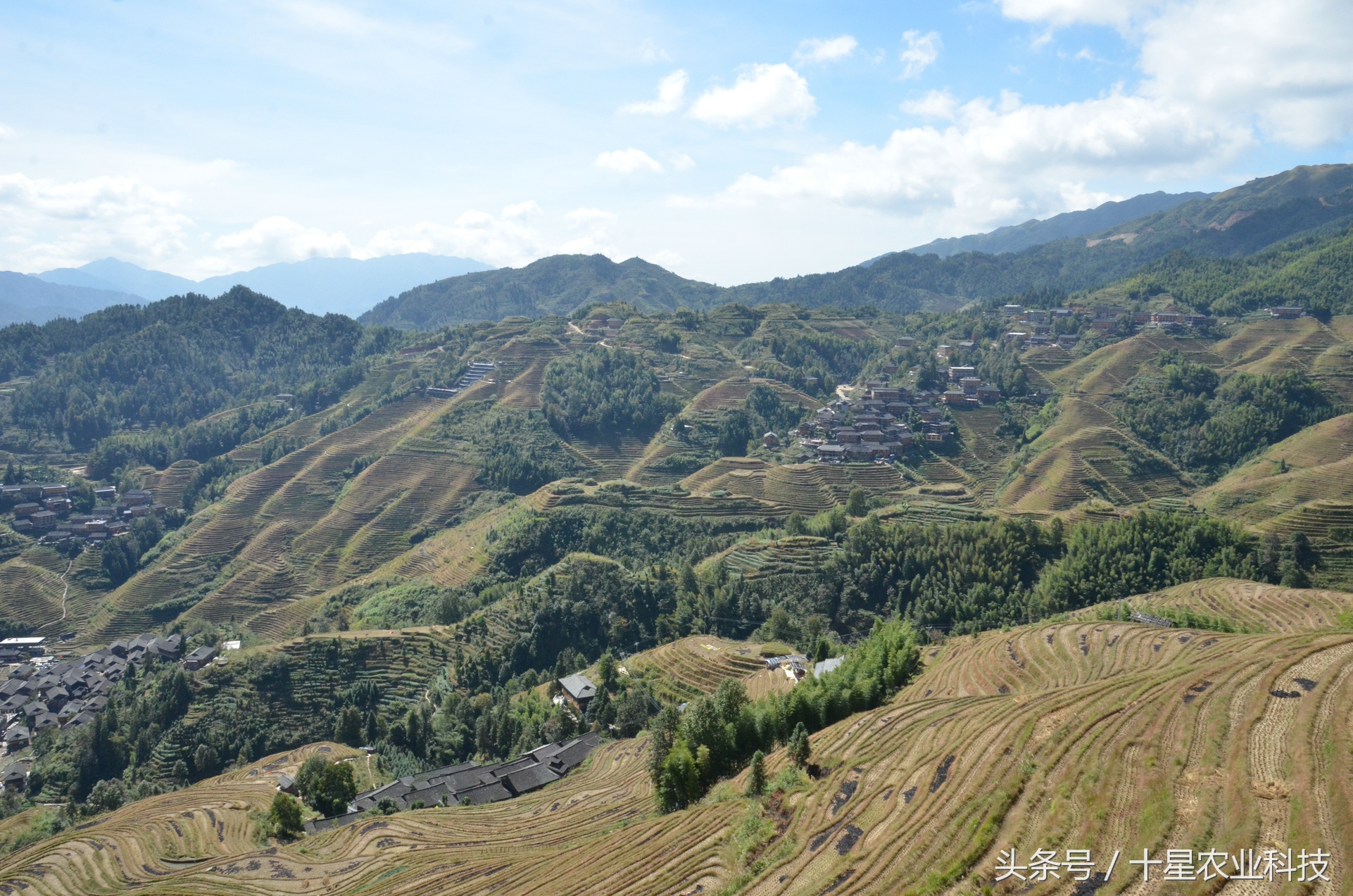 龙胜瑶族大寨龙脊梯田，原创拍摄几十图，有美女出镜哦！