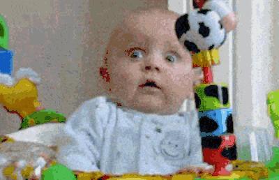 时尚界的动物元素,动物进化论