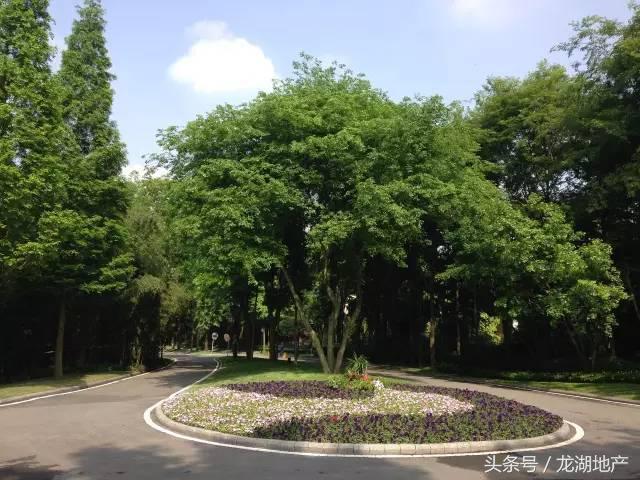 没有物管的老小区该找谁,没有物业的老小区归谁管