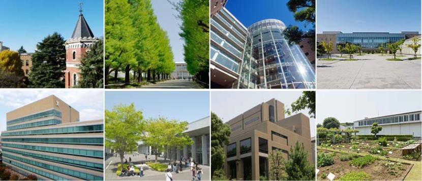 你不知道的医学专业,日本留学汉方医药学专业