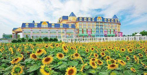 广州百万葵园一日游攻略,百万葵园二日旅游