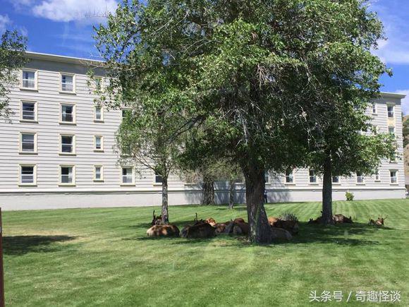 在美国旅游视频教学,美国自由行自驾游