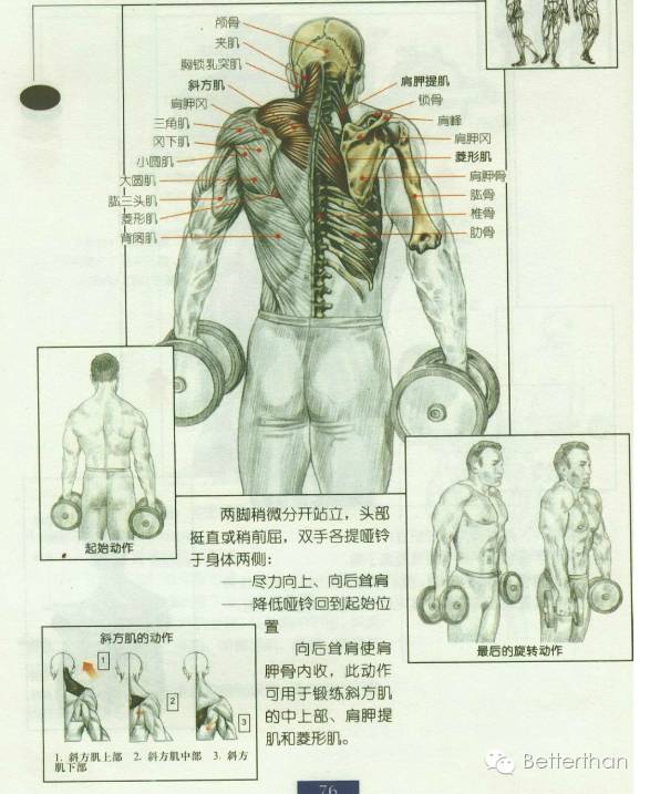 最全哑铃教学,手臂哑铃肌肉训练10个动作图解