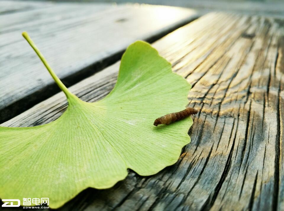 oppor9s柔光摄像头价格,oppor9s清新绿开箱视频