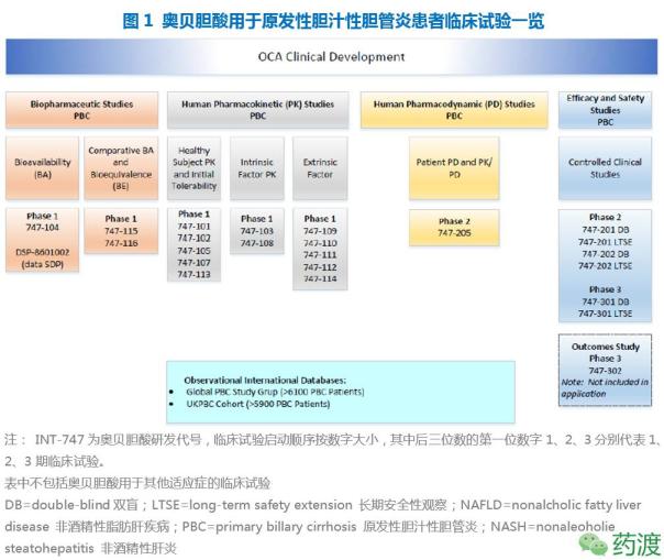 奥贝胆酸中国上市,奥贝胆酸市场前景