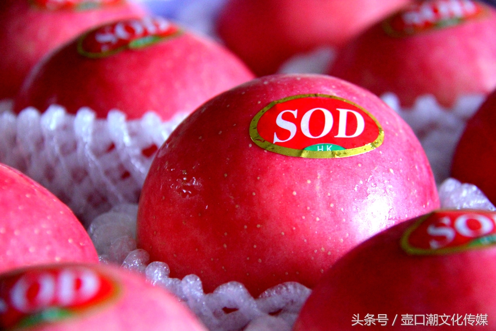 山西临汾神话故事,山西临汾吉县苹果视频