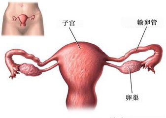 输卵管堵塞找个好的中医，不要随便找，小心不孕！