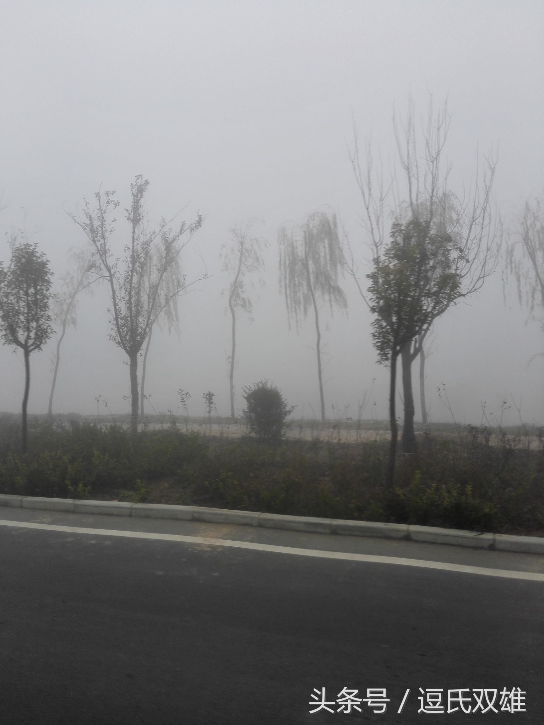 招聘会的活动流程是什么,招聘会的活动内容有哪些