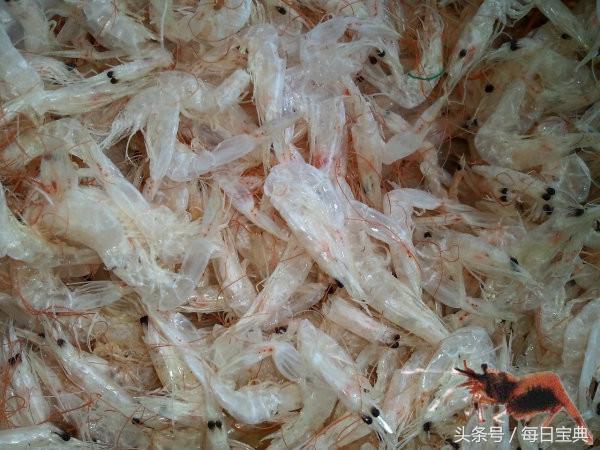 舌尖上的龙虾,品尝正宗龙虾美食的感受