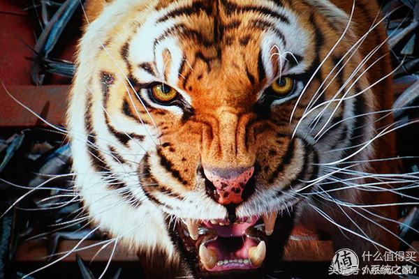 4khdr和4kuhd有什么区别,4khdr和4k杜比视界哪个效果好