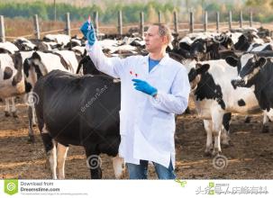 牛羊有病，不请兽医，咱们自己当兽医，牛羊病诊断关键技术！